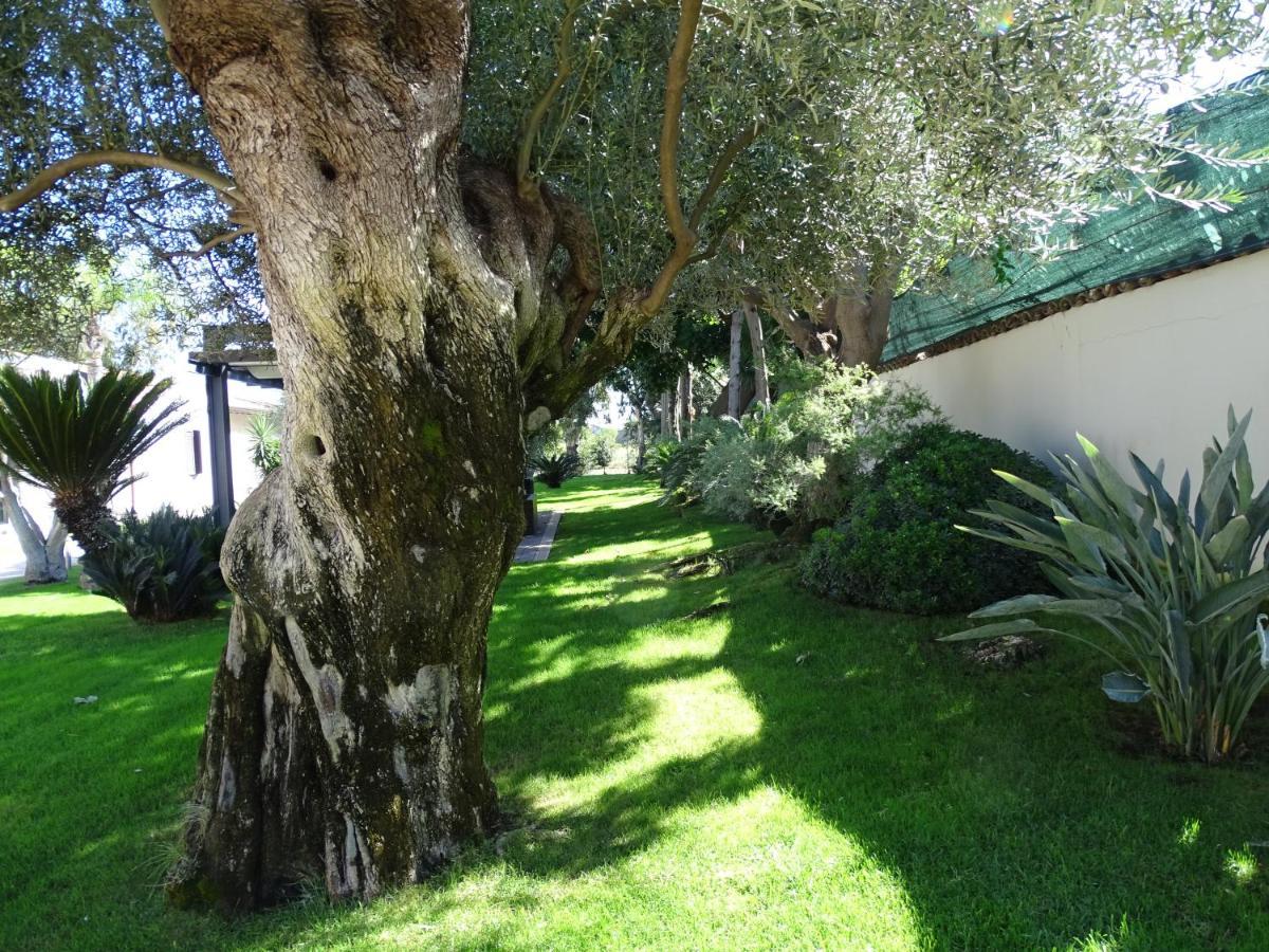 La Casetta Al Maneggio CTA Exterior foto